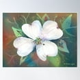 thumbnail image 1 of Dogwood Blossom Poster Wall Art, Modern Wall Decor For Living Room Bedroom, 8x12 UNFRAMED, 1 of 3