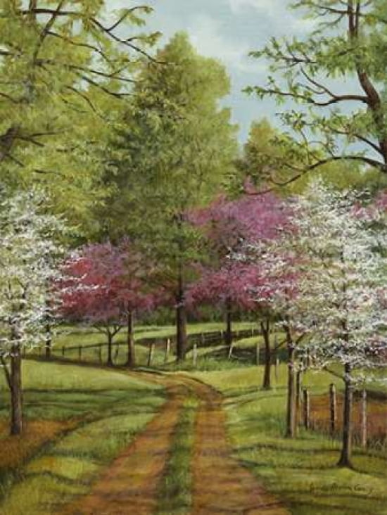 Dogwood Lane Canvas Art - Lene Alston Casey (18 x 24)