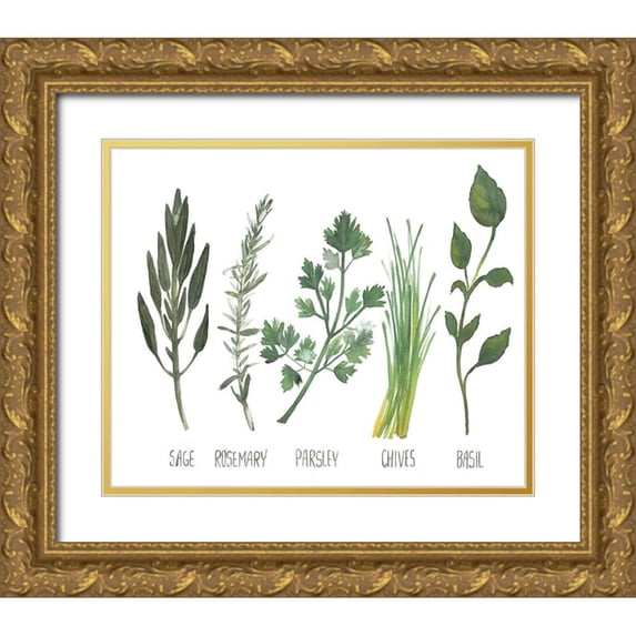 Dogwood Portfolio 17x15 Gold Ornate Wood Framed with Double Matting Museum Art Print Titled - Watercolor Herbs