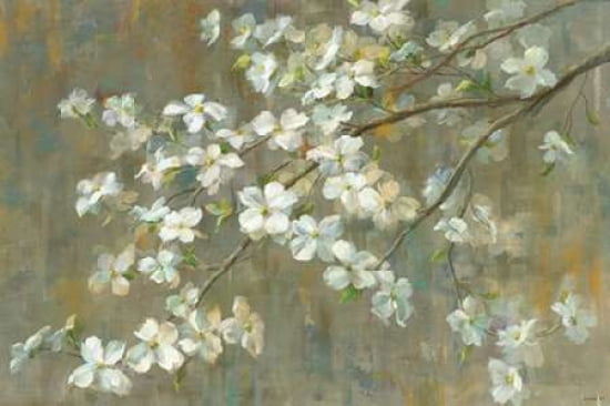 Dogwood in Spring Canvas Art - Danhui Nai (24 x 36)