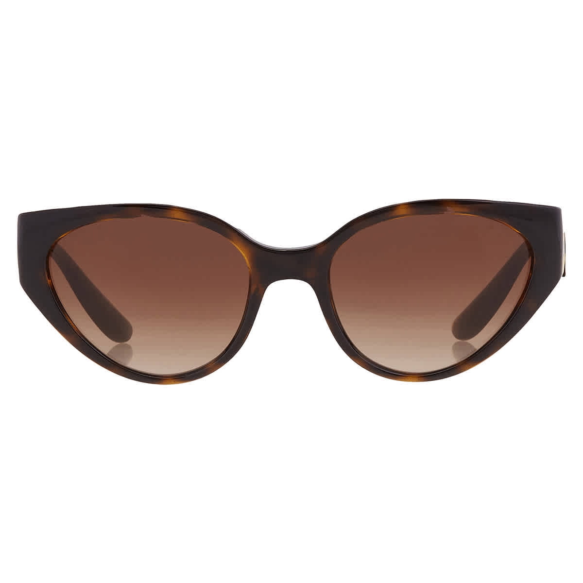 Dolce & Gabbana DG 6146 Plastic Womens CatEye Sunglasses Havana 54mm — free download