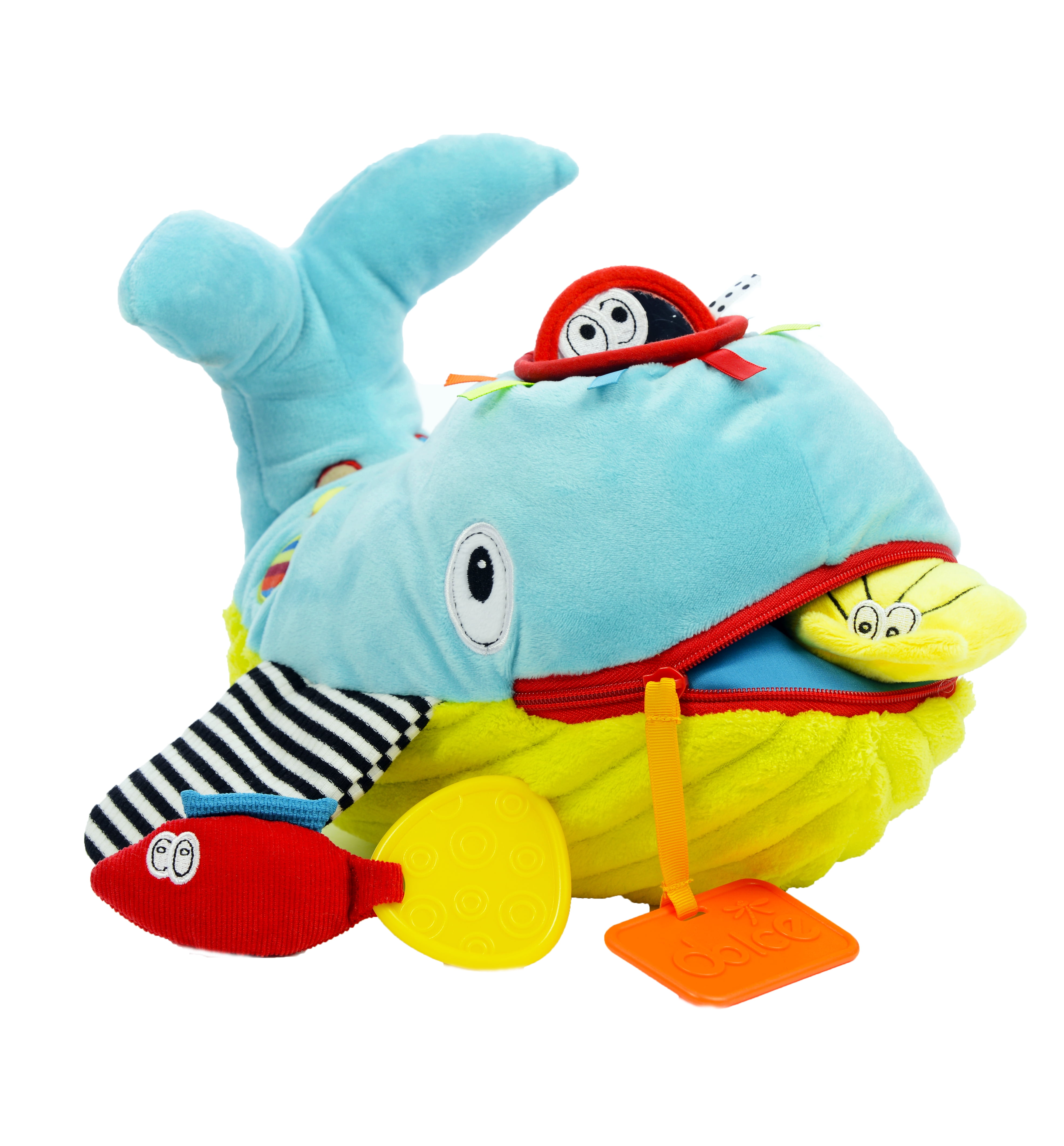 Dolce Wallie the Whale