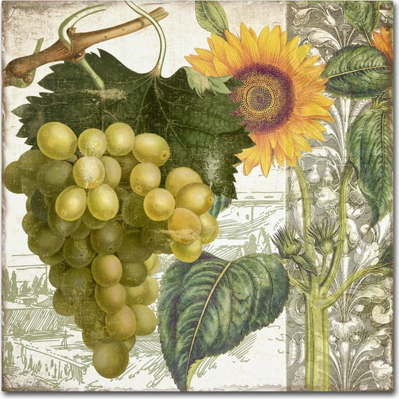 "Dolcetto III" Canvas Art by Color Bakery