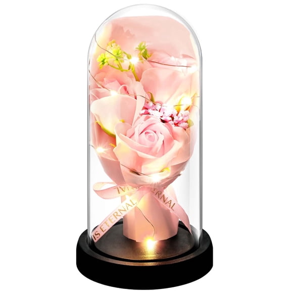 Lyacmy Valentines Day Preserved Flowers Bouquet Gifts for Her, Preserved Flower in Glass Dome, Eternal Pink Rose for Mother's Day Anniversary