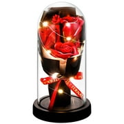 Dolicer Preserved Flowers Bouquet Gifts for Mom,Preserved Flower in Glass Dome,Eternal Rose Gifts for Mother's Day,Anniversary(Red)
