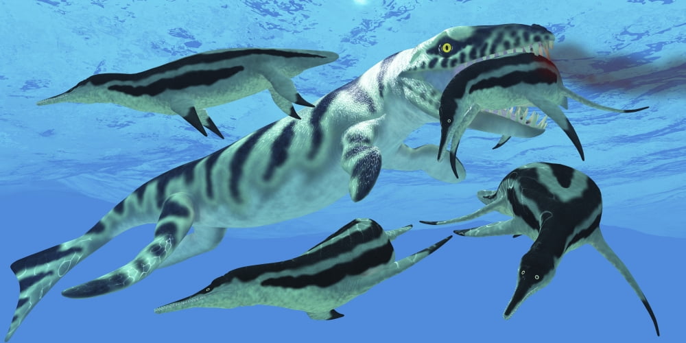 Dolichorhynchops plesiosaurs try to evade a Dakosaurus marine reptile Canvas Art - Corey FordStocktrek Images (20 x 10)