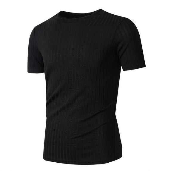 Dolkfu Short Sleeve Mens Shirts Casual Black Slim Fit Athletic T Shirt Ribbed Crew Neck Fitness Mens T Shirt,L