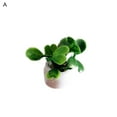 thumbnail image 1 of Doll House Miniature Mini Potted Plants Model Fairy Garden Decoration Ornaments, 1 of 8