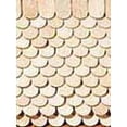 thumbnail image 1 of Dollhouse Fishscale Shingles, 1 of 2