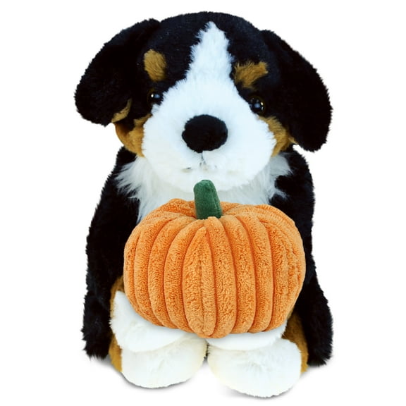 DolliBu Super Soft Bernese Mountain Dog Stuffed Animal with Pumpkin Decor - Pumpkin Plush Animal for Fall, Halloween and Thanksgiving, Pumpkin Toy for Baby, Kids, Adults - 8 Inches