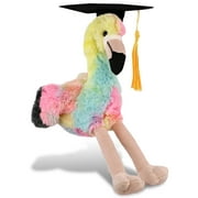 DolliBu Super Soft Rainbow Flamingo Graduation Plush Toy – Cute Plush Graduation Flamingo Stuffed Animal Dress Up in Graduation Cap with Tassel – Congratulatory Graduation Gift – 8 Inches