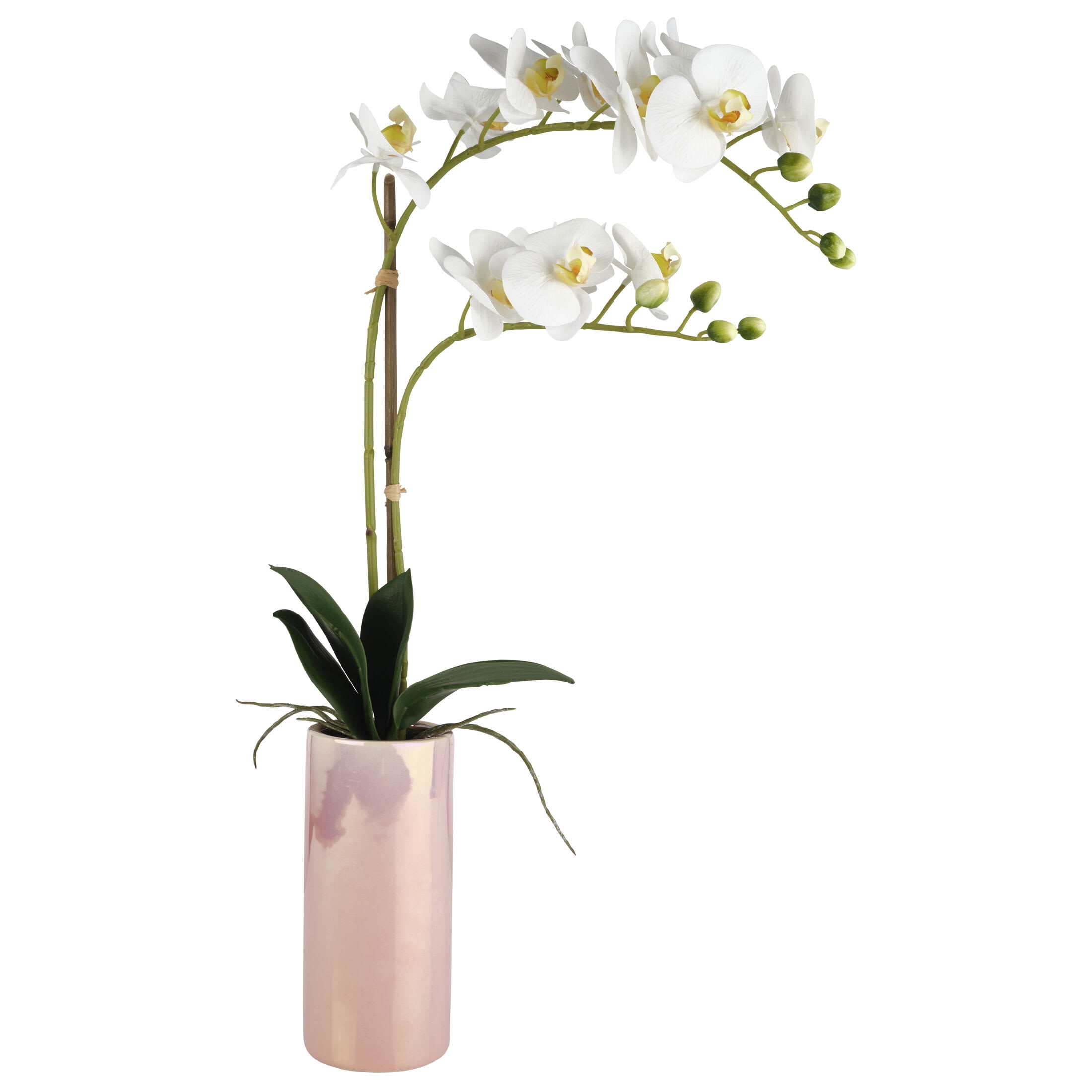 Dolly Parton 24 in Real Touch Artfcial White Orchid