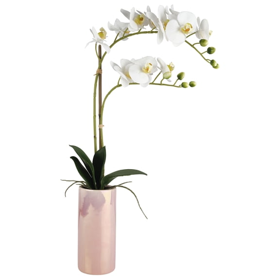 Dolly Parton 24 in Real Touch Artfcial White Orchid