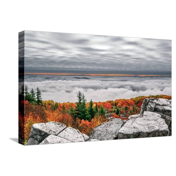 Dolly Sods Inversion, Botanical Scenic Stretched Canvas Wall Art by Steven Maxx Sold by ArtCom