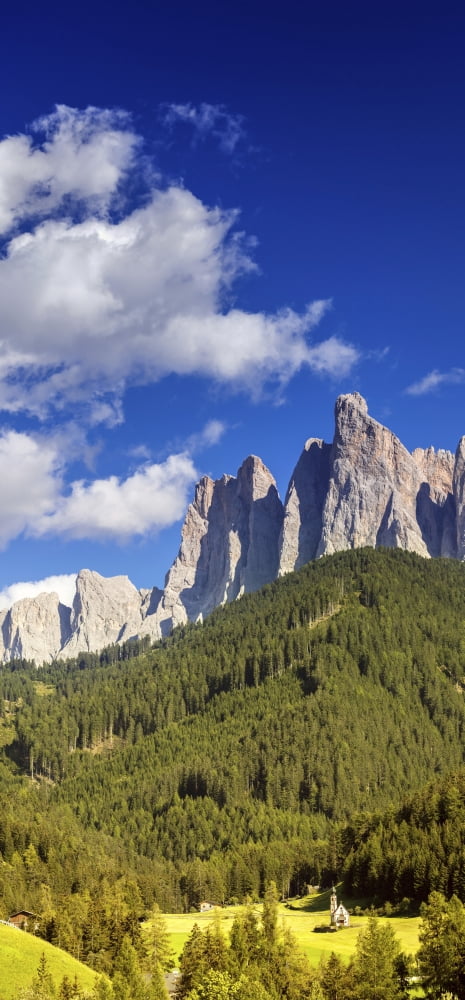 Dolomite Alps and forest Northern Italy Canvas Art - Evgeny KuklevStocktrek Images (10 x 21)