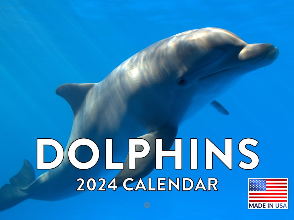 Dolphin 2024 Wall Calendar