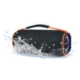 thumbnail image 1 of Dolphin DR-60 Fun Waterproof Portable Bluetooth Speaker | Perfect for Outdoor Adventures Like Hiking, Beach, Pool, or Shower, Bedroom, Garage, 1 of 5