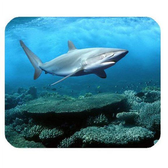 Dolphin Mouse pads Gaming Mouse Pad 9.84x7.87 inches
