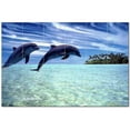 thumbnail image 1 of Dolphin Photo Ceramic Tile Mural Kitchen Backsplash Bathroom Shower, 404707-S64, 1 of 3