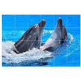 thumbnail image 1 of Dolphin Picture Ceramic Tile Mural Kitchen Backsplash Bathroom Shower, 404721-M6, 1 of 3