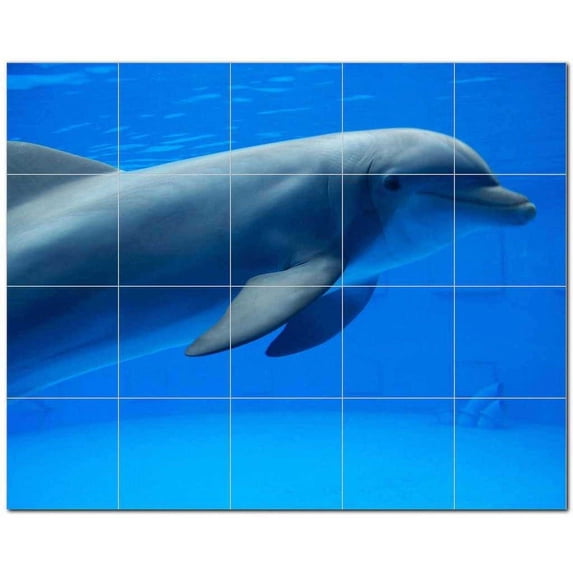 Dolphin Picture Ceramic Tile Mural Kitchen Backsplash Bathroom Shower, 404722-S5