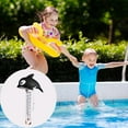 Dolphin Shaped Pool Floating Water Temperature Gauge For Swimming Pools