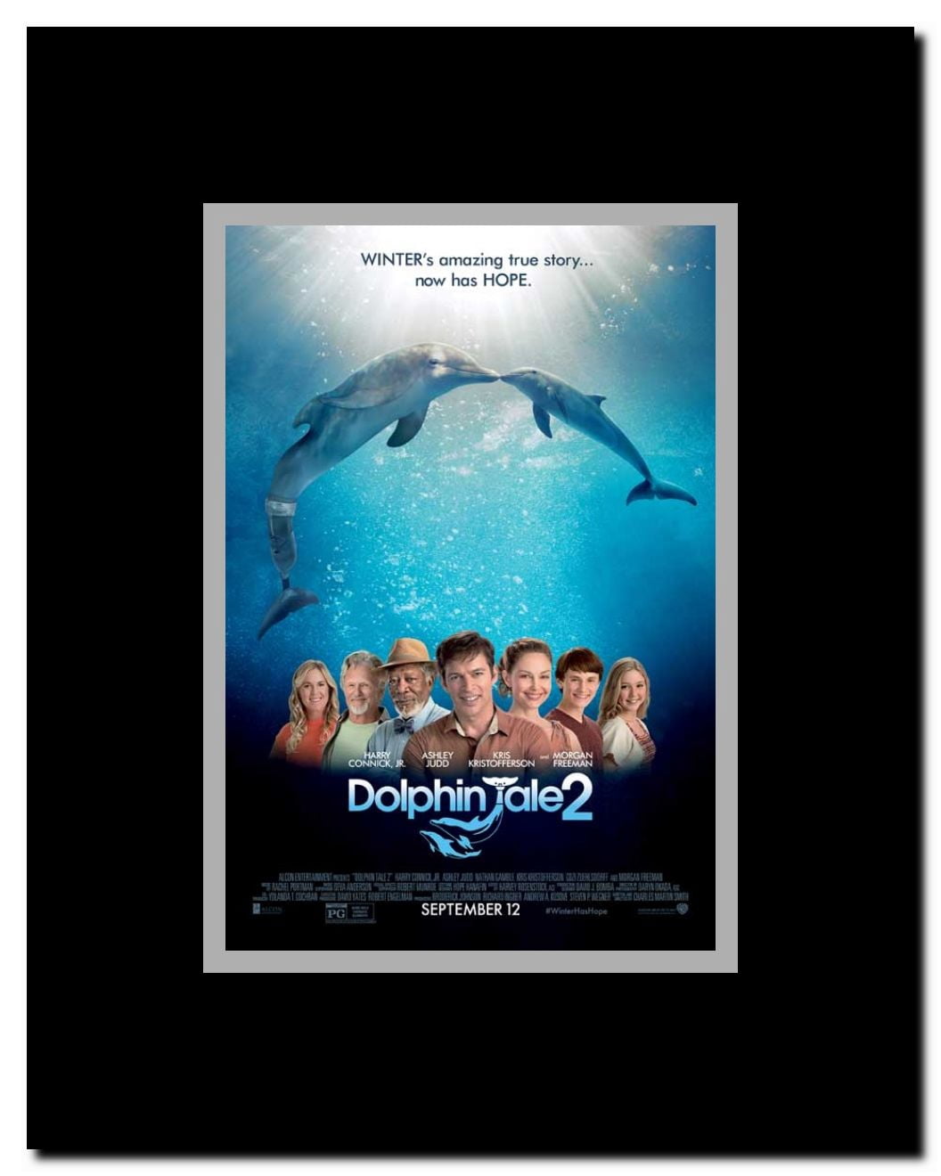 Dolphin Tale 2 Framed Movie Poster