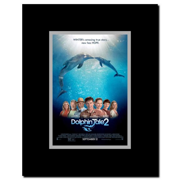 Dolphin Tale 2 Framed Movie Poster