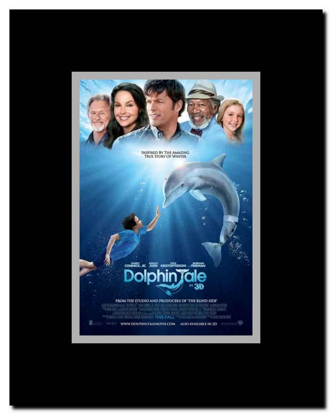 Dolphin Tale Framed Movie Poster