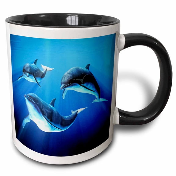 3drose, Dolphin Trio Swimming, 11oz Two-tone Black Mug