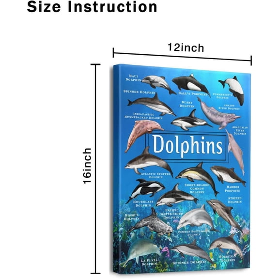 Dolphin Wall Art Wall Decor for Living Room Home