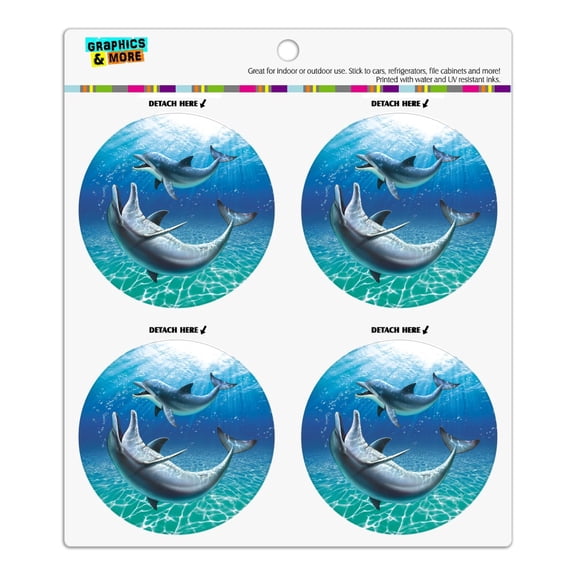 Dolphin and Baby Having Fun Ocean Refrigerator Fridge Locker Vinyl Circle Magnet Set