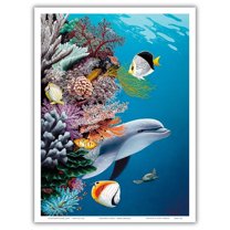 Dolphin’s Reef - Gray’s Hawaiian Spinner Dolphin (Naiʻa) - From an Original Color Painting by Mark MacKay - Master Art Print (Unframed) 9in x 12in
