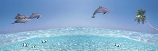 Dolphins Leaping In Air Canvas Art - Panoramic Images (36 x 12)