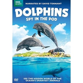 Dolphins: Spy in the Pod [DVD]