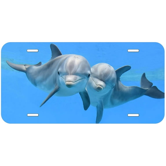 Dolphins TAG07 Novelty Car Auto License Plate