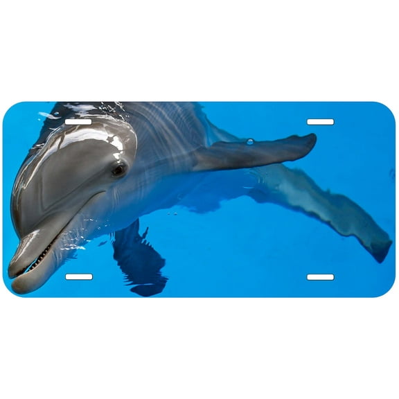 Dolphins TAG09 Novelty Car Auto License Plate