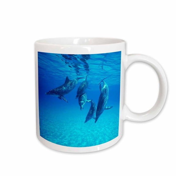 3drose, Dolphins Underwater, 11oz Mug