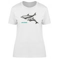 thumbnail image 1 of Dolphins Vintage Design T-Shirt Women -Image by Shutterstock, Female Medium, 1 of 2