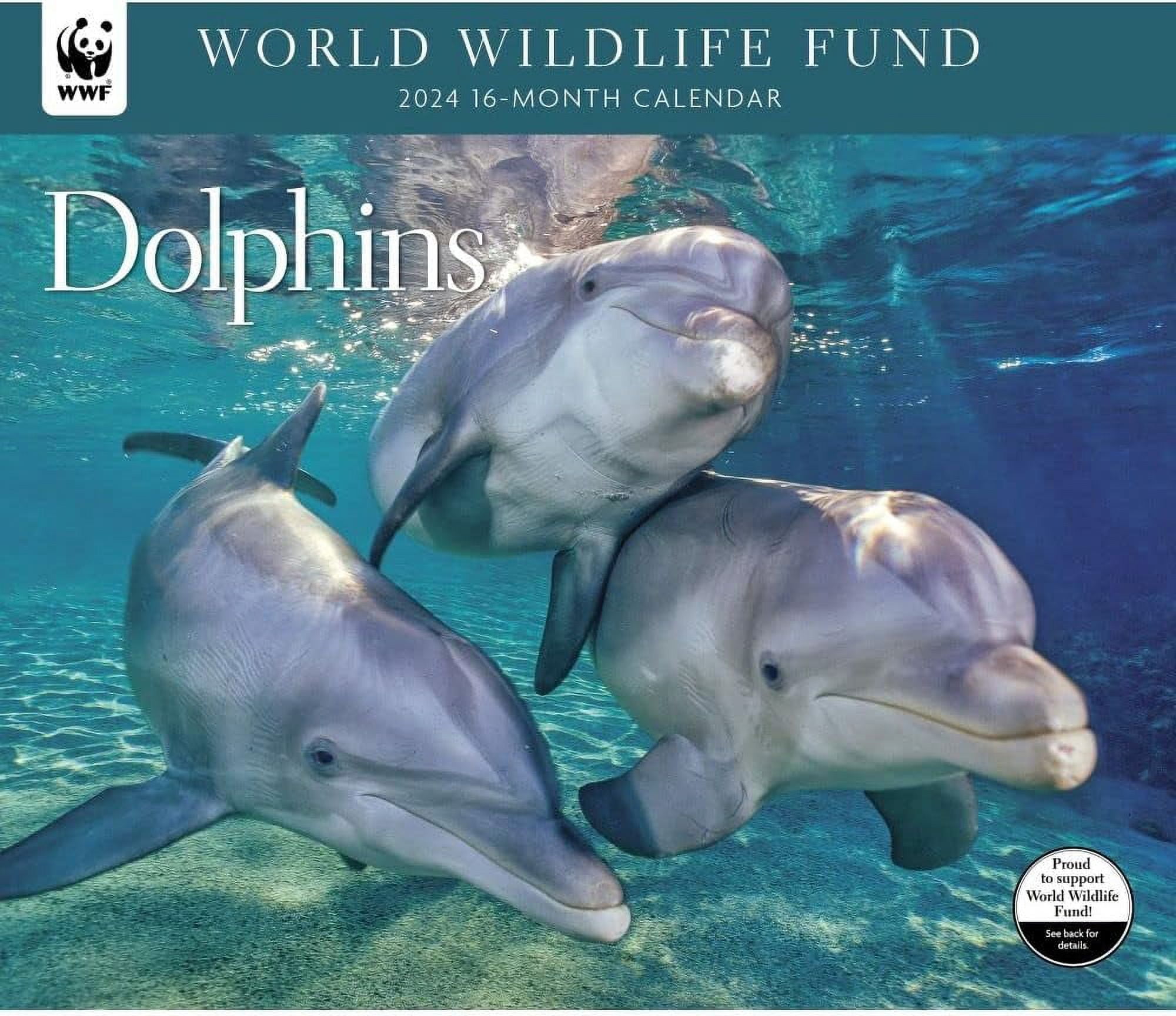 Dolphins WWF 2024 Wall Calendar - Walmart.com