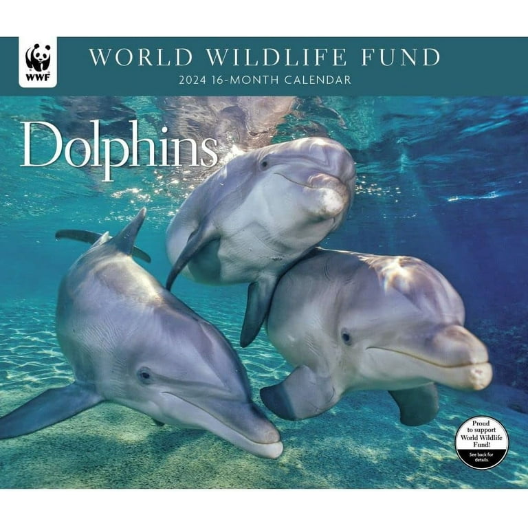 Dolphins WWF 2024 Wall Calendar - Walmart.com dolphins-wwf-2024-wall-calendar-walmart-com