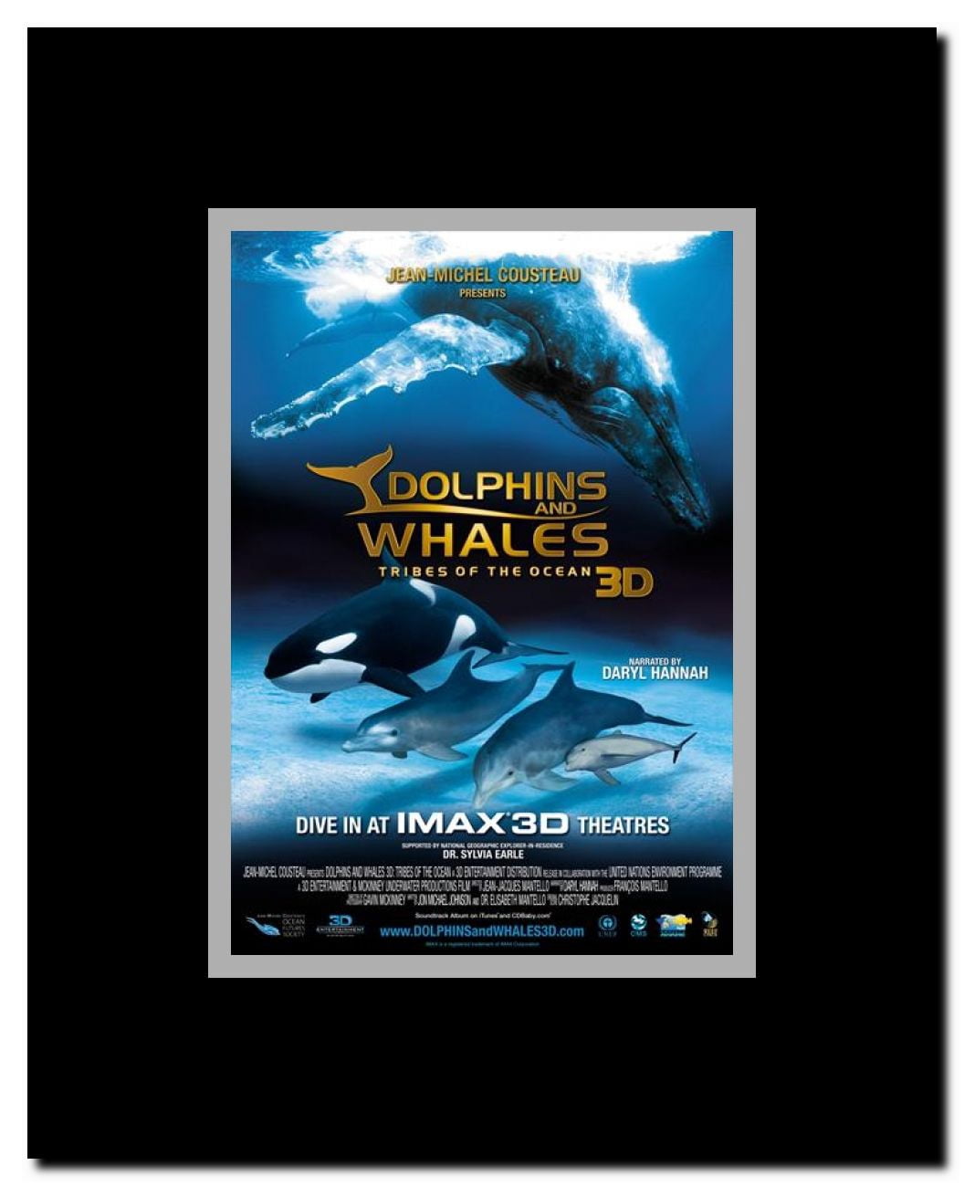 Dolphins and Whales 3D: Tribes of the Ocean Framed Movie Poster