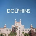 thumbnail image 1 of Dolphins, 1 of 1