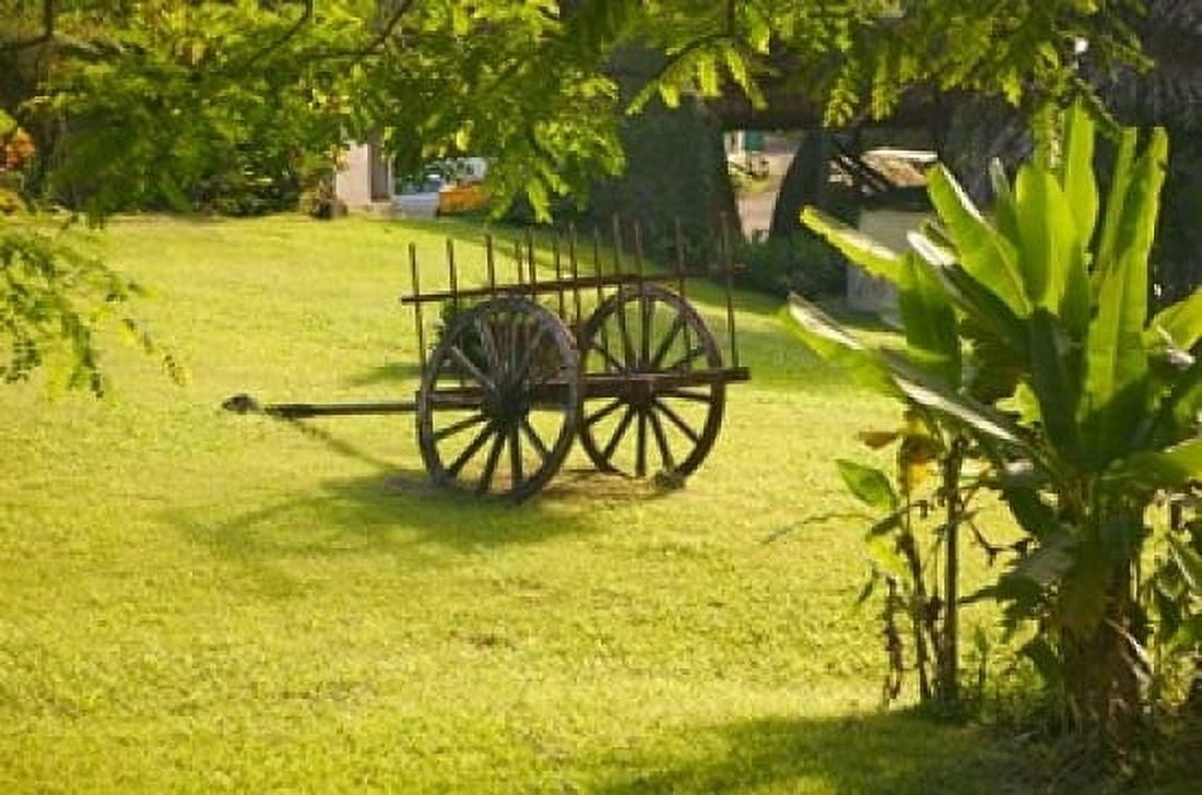 Domaine de Severin Rum Distillery and Sugar Cane Cart Guadaloupe Caribbean Canvas Art - Walter Bibikow DanitaDelimont (36 x 24)