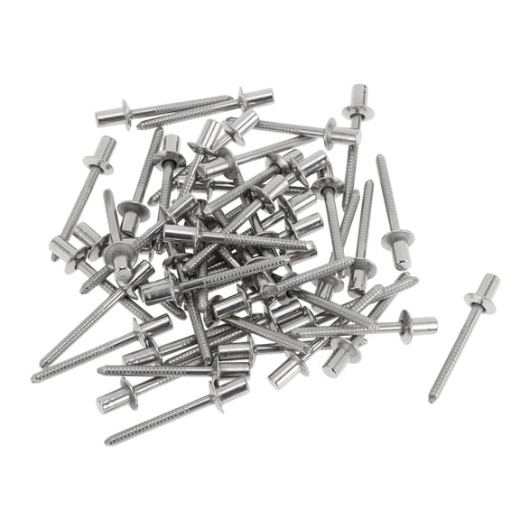 Dome Head Closed Sealing Rivets 4.8mm Grip Diameter 10mm Grip Length 9.5mm Flange Diameter Stainless Steel Silver Tone 50 Pcs