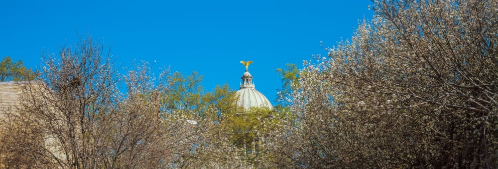 Dome of a government building Old Mississippi State Capitol Jackson Mississippi USA Canvas Art - Panoramic Images (36 x 12)