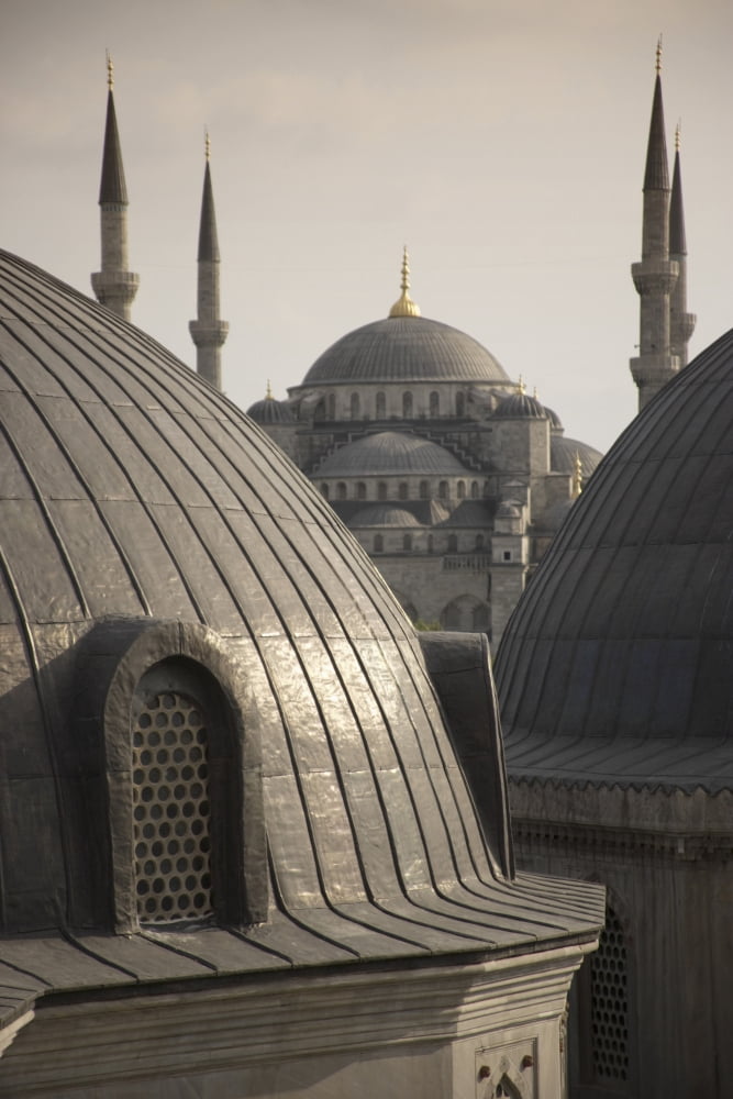 Domes Of The Blue Mosque Canvas Art - Carlos Sanchez Pereyra Design Pics (24 x 38)