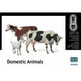 thumbnail image 1 of Domestic Animals 1:35, 1 of 1