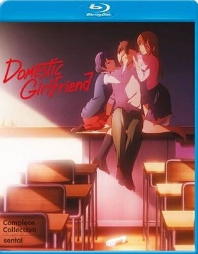 Sentai Filmworks Makes Room for Domestic Girlfriend Anime Series