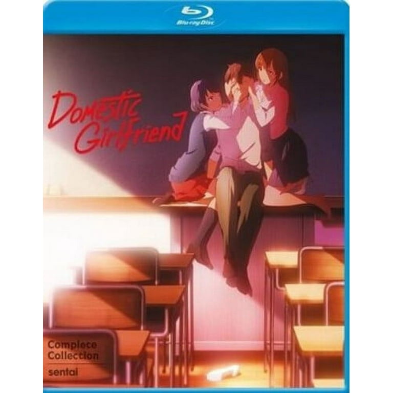  Domestic Girlfriend - Blu-ray 1 : Movies & TV